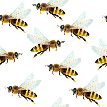 Watercolor seamless hand drawn pattern with bumble bees, nature natural insects, summer vibes modern design. Honeycomb yellow white background for textile wallpaper wrapping paper. Reatistic animal farm