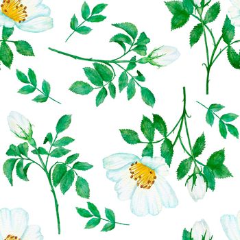 Watercolor hand drawn seamless pattern with floral wild rose flowers leaves branches. Green leaf greenery white blue dogrose print background. Natural elegant victorian design for wallpaper textile