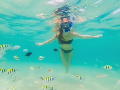 Happy woman in snorkeling mask dive underwater with tropical fishes in coral reef sea pool. Travel lifestyle, water sport outdoor adventure, swimming lessons on summer beach holiday.