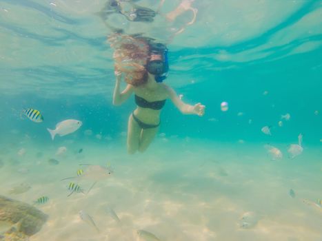 Happy woman in snorkeling mask dive underwater with tropical fishes in coral reef sea pool. Travel lifestyle, water sport outdoor adventure, swimming lessons on summer beach holiday.
