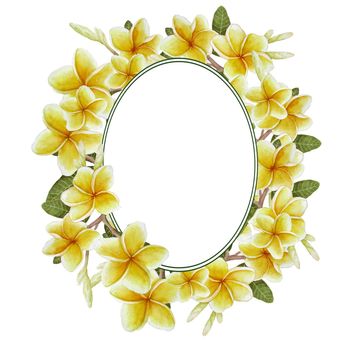 hand drawn watercolor round oval frame template design element with exotic botanical jungle plant elegant yellow plumeria frangipani flower green leaves. For labels spa relaxation banners invitation