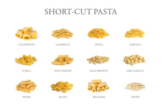 pasta set variety: 12 different short cut italian pasta shapes with italian names