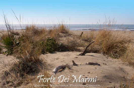 Sand dunes in Forte dei Marmi beach, Tuscanu, Italy