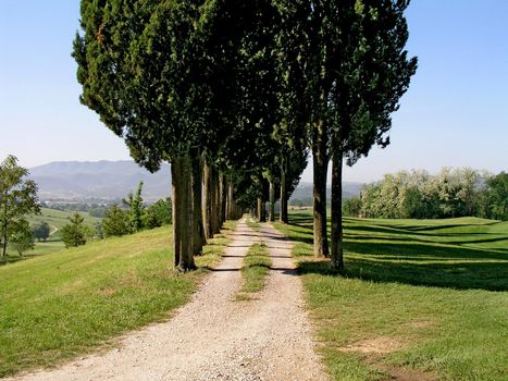 Tuscany country road with cypress trees aside