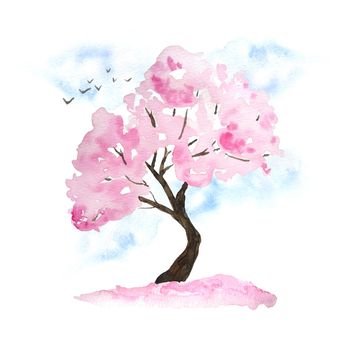 Watercolor hand drawn design illustration of pink cherry sakura tree in bloom blossom flowers, sky, birds, fallen petals. Hanami festival traditional japan japanese culture. Nature landscape plant. Spring march april concept