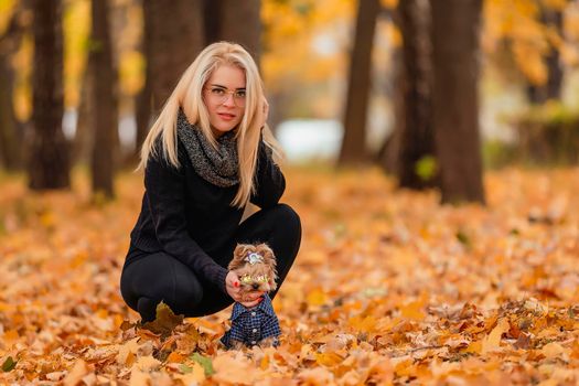girl with a Yorkshire terrier dog in the autumn park