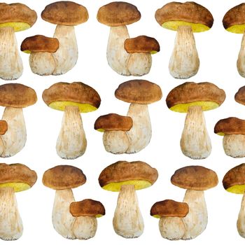 Hand drawn watercolor seamless pattern illustration of porcini cep edible boletus mushroom. Forest wood woodland esign. Wild raw healthy organic ingridient. Autumn summer mushrooming. King bolete food