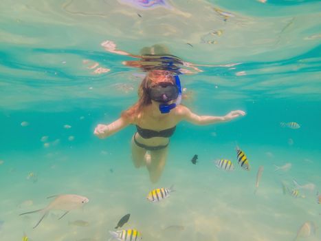 Happy woman in snorkeling mask dive underwater with tropical fishes in coral reef sea pool. Travel lifestyle, water sport outdoor adventure, swimming lessons on summer beach holiday.