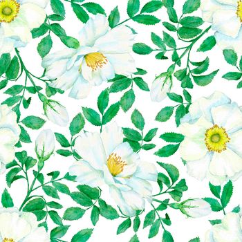 Watercolor hand drawn seamless pattern with floral wild rose flowers leaves branches. Green leaf greenery white blue dogrose print background. Natural elegant victorian design for wallpaper textile