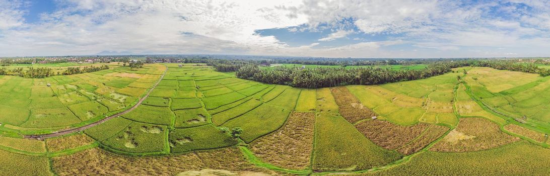 Image of beautiful Terraced rice field in water season and Irrigation from drone,Top view of rices paddy.