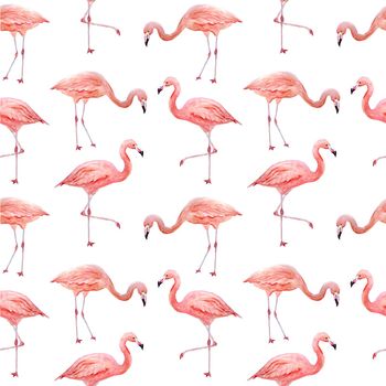 Seamless pattern of pink flamingo. Tropical exotic bird rose flamingos isolated on white background. Watercolor hand drawn realistic animal illustration. Summer bird wildlife. Print for wrapping paper wallpaper cards textile