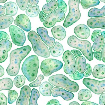 Seamless pattern of unicellular green blue algae chlorella spirulina with large cells single-cells with lipid weed droplets. Watercolor illustration of macro zoom microorganism bacteria for cosmetics biological design