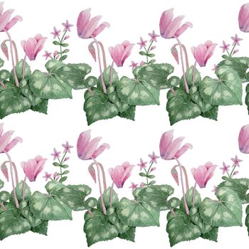 Watercolor hand drawn seamless pattern illustration of pink violet purple cyclamen wild flowers. Forest wood woodland nature plant, realistic design leaves petals. For wedding cards, invitation