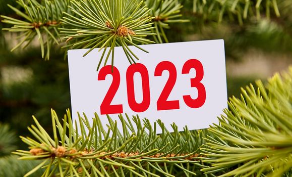 Happy New Year 2023. New Year background concept, pine branches with 2023 card.