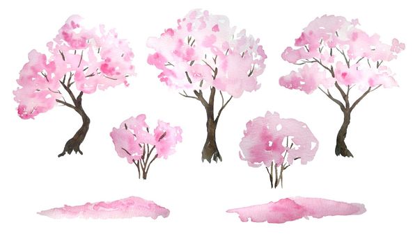 Watercolor hand drawn design elements illustration of pink cherry sakura tree in bloom blossom flowers, fallen petals, bushes. Hanami festival traditional japan japanese culture. Nature landscape plant. Spring march april concept