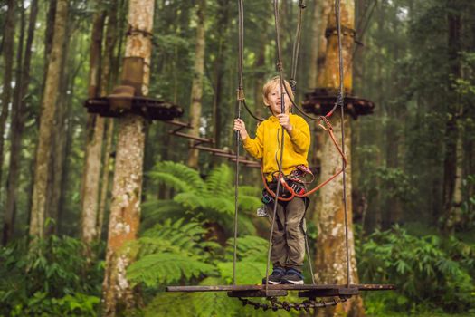 Little boy in a rope park. Active physical recreation of the child in the fresh air in the park. Training for children.