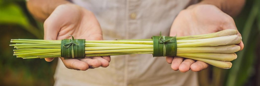 Eco-friendly product packaging concept. Lemongrass wrapped in a banana leaf, as an alternative to a plastic bag. Zero waste concept. Alternative packaging. BANNER, LONG FORMAT