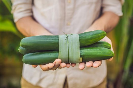 Eco-friendly product packaging concept. Cucumber wrapped in a banana leaf, as an alternative to a plastic bag. Zero waste concept. Alternative packaging.
