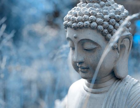 This little buddha is sitting in our garden. The photo is converted to blue to emphasize the inner peace of the buddha