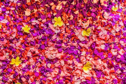 Spa petals in bowl with tropical flowers, spa pedicure treatment.