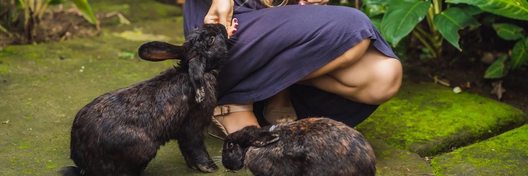 Woman holding a rabbit. Cosmetics test on rabbit animal. Cruelty free and stop animal abuse concept. BANNER, LONG FORMAT