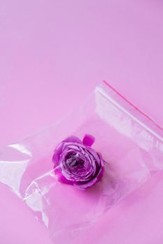 Environmental pollution concept. Flower in a plastic bag. Danger problem. Environmental conservation. Ecological lifestyle and zero waste living concept