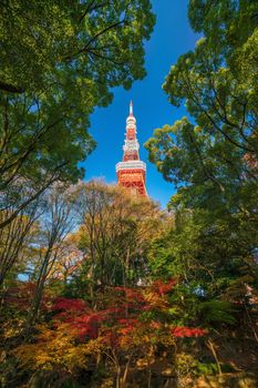 Tokyo Tower with blue sky in Japan