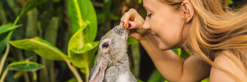 Woman holding a rabbit. Cosmetics test on rabbit animal. Cruelty free and stop animal abuse concept. BANNER, LONG FORMAT