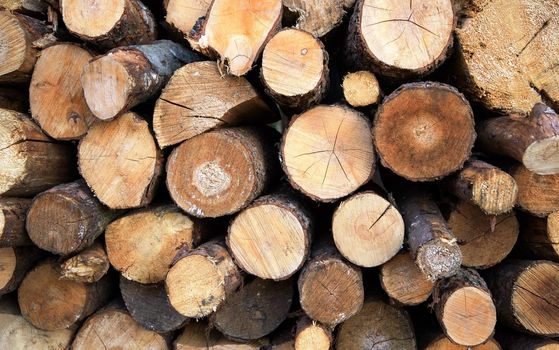 Large rural stack of firewood. Old firewood. Background.