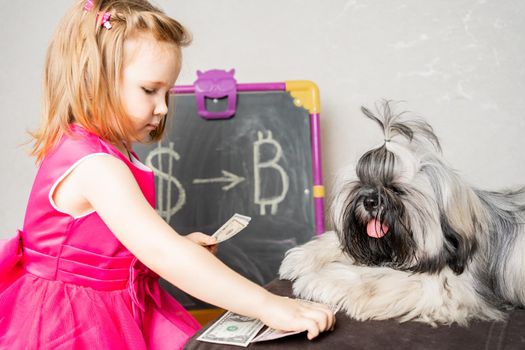 the child lays out the accumulated money in front of his dog. in the background is a blackboard on which you can see that you need to convert dollars into cryptocurrency. The dog watches as the girl lays out the money