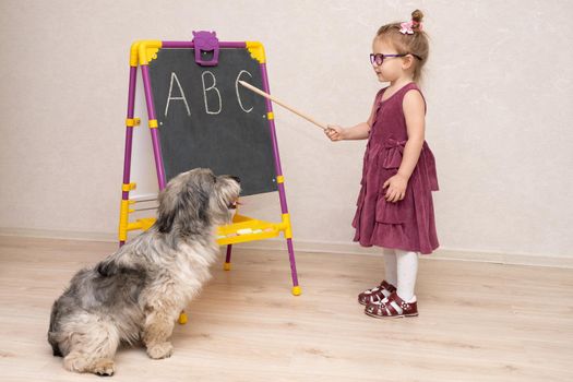 a girl with glasses and a dress is dressed like a strict teacher playing school with her mongrel. On the board, she shows her pet the letters. The dog looks attentively at his mistress