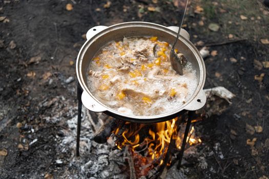 a cauldron with boiling chicken soup made of chicken wings and vegetables stands on a campfire during outdoor recreation. The contents of the soup are mixed with a long spoon.