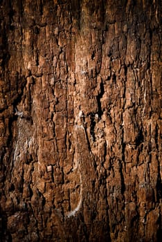 Texture of old wood with cracks. Old, cracked wood background, high resolution