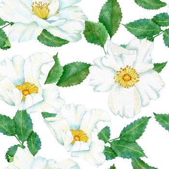 Watercolor hand drawn seamless pattern with floral wild rose flowers leaves branches. Green leaf greenery white blue dogrose print background. Natural elegant victorian design for wallpaper textile