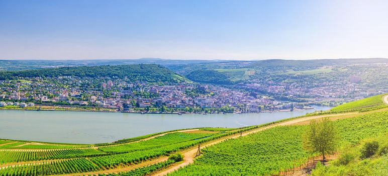 Aerial panoramic view of river Rhine Gorge or Upper Middle Rhine Valley winemaking region with vineyards green fields, Bingen am Rhein town, blue sky, Rhineland-Palatinate, Hesse states, Germany