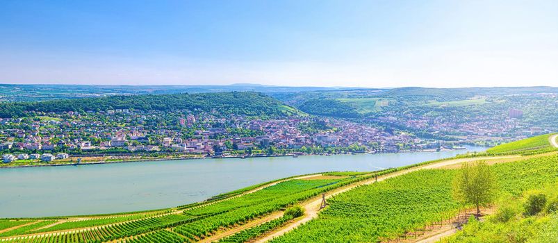 Aerial panoramic view of river Rhine Gorge or Upper Middle Rhine Valley winemaking region with vineyards green fields, Bingen am Rhein town, blue sky, Rhineland-Palatinate, Hesse states, Germany