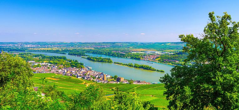 Panorama of river Rhine Gorge or Upper Middle Rhine Valley winemaking region with vineyards green fields near Rudesheim am Rhein town, Rhineland-Palatinate, Germany. Panoramic view of Rhein valley