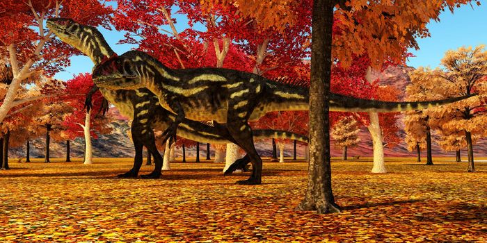 Allosaurus theropod dinosaurs lived in North America during the Jurassic Period.