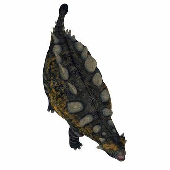 Crichtonsaurus was an herbivorous armored Ankylosaurus dinosaur that lived in China during the Cretaceous Period.