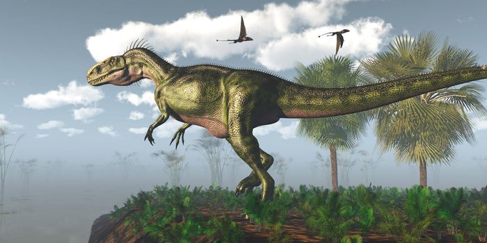 Dimorphodon Pterosaur fly over a Monolophosaurus theropod carnivorous dinosaur in a wetland area.