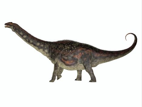 Diamantinasaurus was a herbivorous sauropod dinosaur that lived in herds in Australia during the Cretaceous Period.
