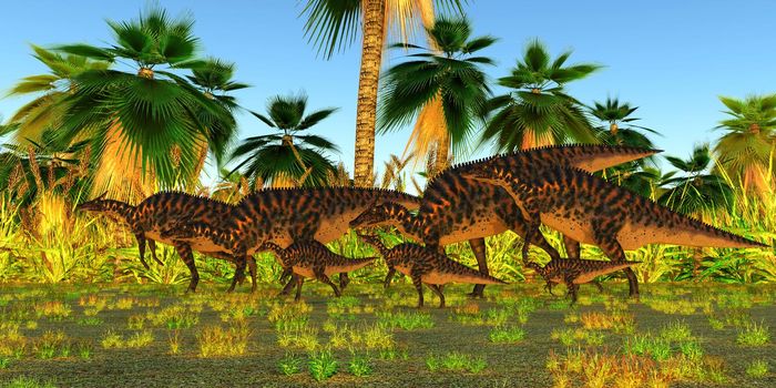 A herd of herbivorous Hadrosaur Saurolophus dinosaurs walk among tropical vegetation and Palm trees.