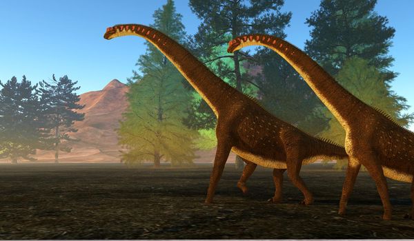 Giraffatitan was a herbivorous sauropod dinosaur that lived in Africa during the Jurassic Age.