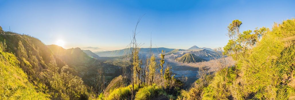 Sunrise at the Bromo Tengger Semeru National Park on the Java Island, Indonesia. View on the Bromo or Gunung Bromo on Indonesian, Semeru and other volcanoes located inside of the Sea of Sand within the Tengger Caldera. One of the most famous volcanic objects in the world. Travel to Indonesia concept.