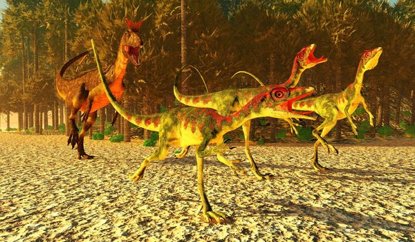 Compsognathus dinosaurs run for their lives as a Cryolophosaurus predator tries to catch them during the Jurassic Age.