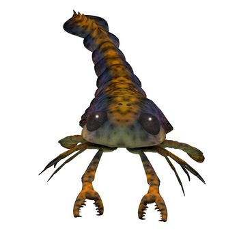 Pterygotus was a carnivorous sea scorpion that lived in worldwide seas of the Silurian and Devonian Periods.