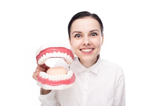 funny woman dentist in a white shirt holds a large jaw with teeth in her hands, white background. High quality photo