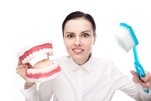 a female doctor in a white shirt holds a huge toothbrush and a jaw mock-up in her hands, white background. High quality photo