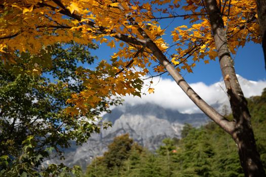 Blue Moon valley lijiang China in october