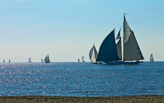 Historical Regatta in Forte dei Marmi with vintage sail boats